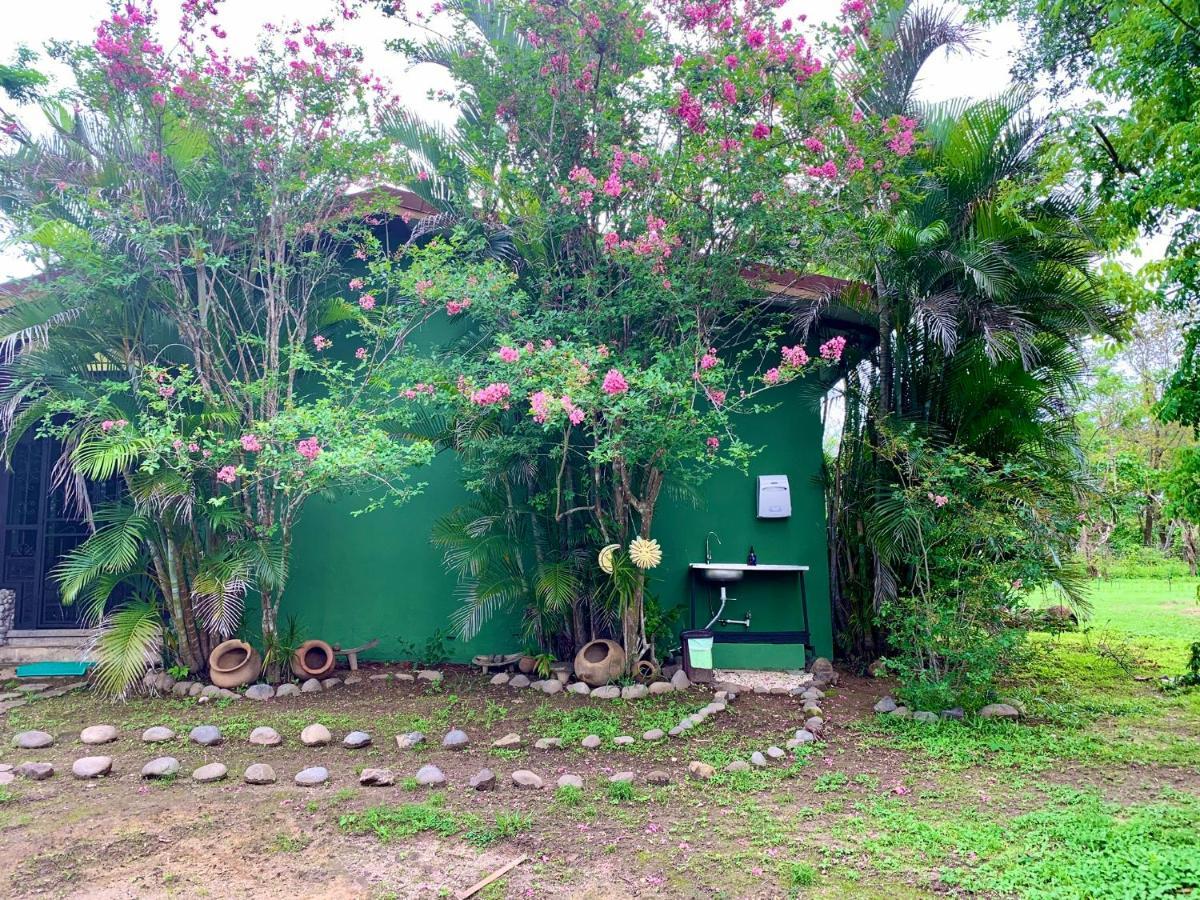 Tiquisia * Curubande